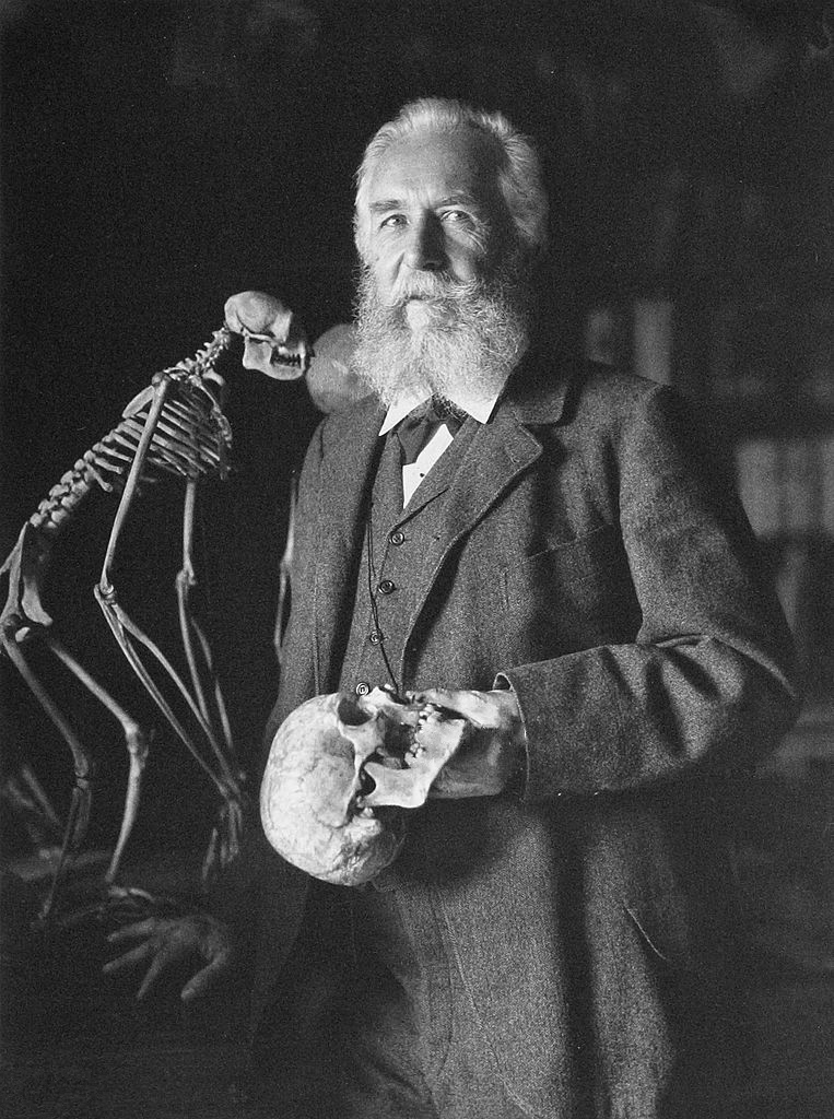 Ernst Haeckel, bajkopisarz.