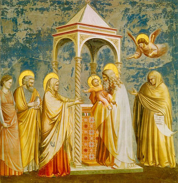 Ofiarowanie Pana Jezusa w świątyni. Giotto.